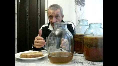 Как вырастить чайный гриб с нуля. Три способа размножение чайного гриба ...