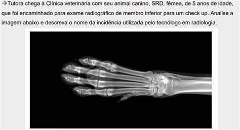 Tutora chega à Clínica veterinária seu animal canino SRD fêmea