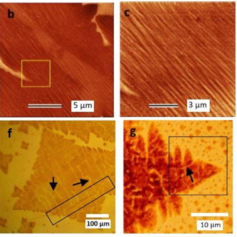 A An Sem Image Of A Cu Grain Boundary The Square Shows Download Scientific Diagram