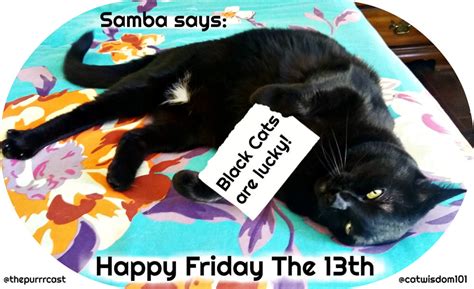 Friday The 13th Cat Meme