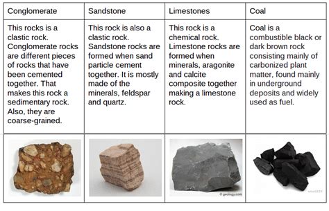 Organic Sedimentary Rocks Examples