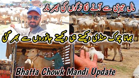 Mandi Ma Mall Tazi Se Aa Gaya Bhatta Chowk Mandi Latest Update 14