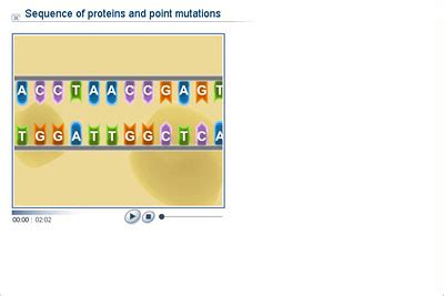 Frameshift Mutation Animation