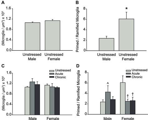 3 Sex And Stress Effects On Microglial Cell Morphology In Prelimbic