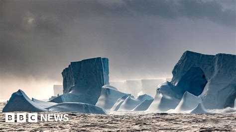 A23a Colossal Iceberg Stuck Spinning In Ocean Trap Bbc News