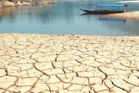 Agroinsumos S A S Compramos T Cosecha Vendemos Variedad De Insumos