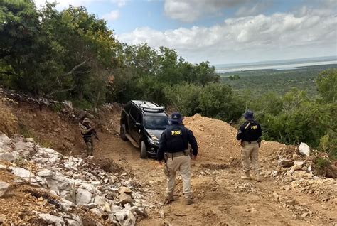 Crimes Ambientais Confira A Atuação Da Prf Em Todo O País