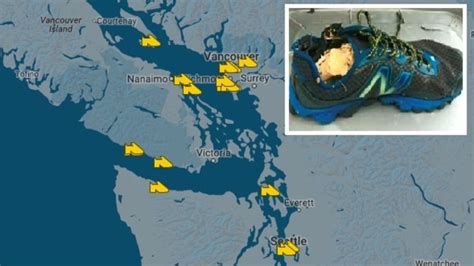 Salish Sea Severed Feet Mystery Another Foot Washes Up News Au