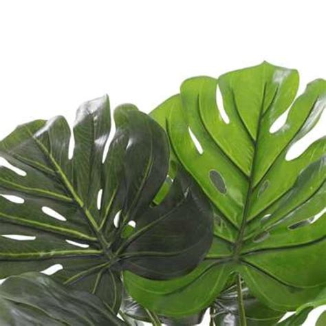 Mica Decorations Monstera Kunstplant H X Cm Leen Bakker