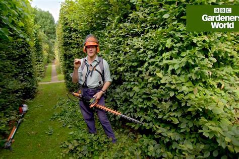 How To Cut A Hedge Video Guide Bbc Gardeners World Magazine