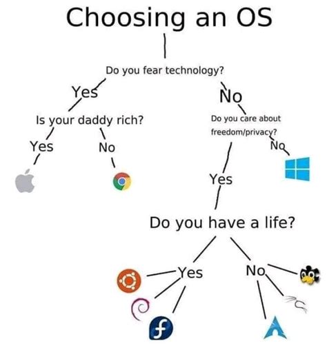 Choosing an OS 101 : r/ProgrammerHumor