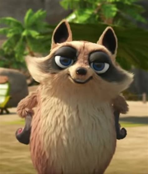 Kevin (Raccoon) | The Jungle Bunch Wiki | Fandom