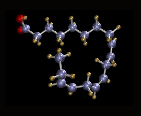 Alpha-linolenic Acid, Computer Model Photograph by Dr Mark J. Winter