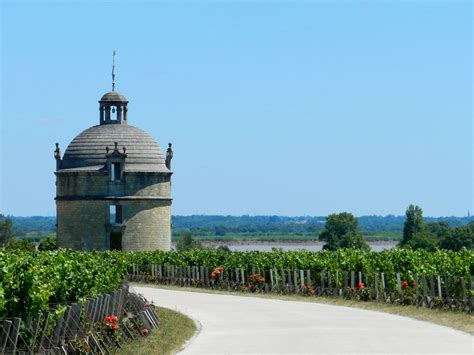 Photo à Pauillac 33250 Château Latour Pauillac 362758