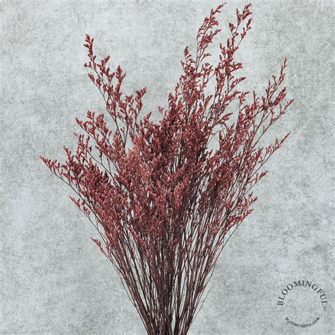 red preserved caspia limonium flower fillers wholesale retail