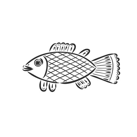 fish vector sketch 19139485 Vector Art at Vecteezy