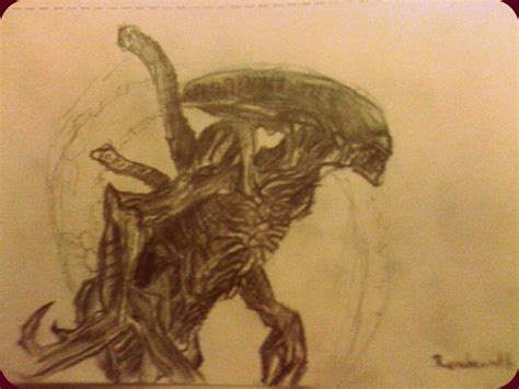 Alien 'Xenomorph' Drawing by Silferath on DeviantArt