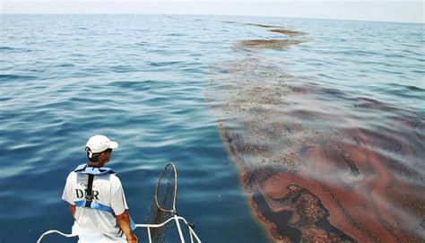 How Do Oil Spills Affect Marine Ecosystems