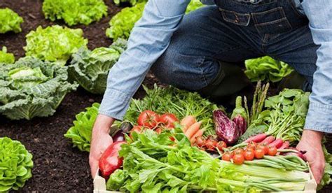 La agricultura ecológica en España situación actual y retos de futuro