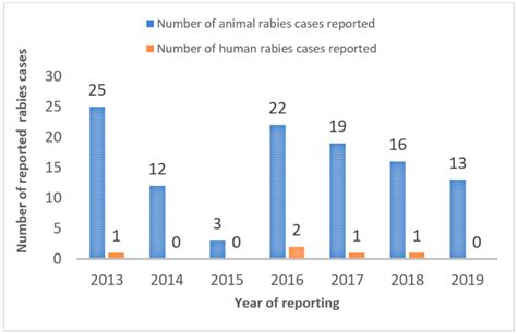 Animals | Free Full-Text | Dog Ecology and Demographics in Several