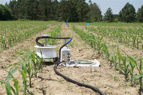 Research In Agronomic Systems Greenhouse Gas Emissions NC State