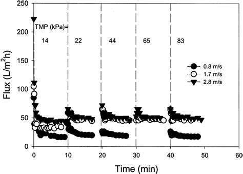 Variation Of Permeate Flux With Time Under Step Increments Of