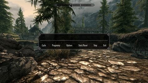 How To Manually Install Mods Skyrim Special Edition Advancedgai