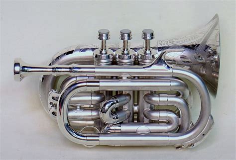 Pocket Cornets And Trumpets — Robb Stewart Brass Instruments