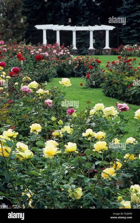 Rose hill garden manito park hi-res stock photography and images - Alamy