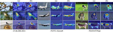 Figure From Fine Grained Image Classification Network Based On