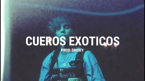 FREE C R O X FRANKY STYLE TYPE BEAT CUEROS EXOTICOS C R O X DUKI