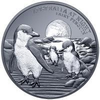 Niue 1 NZD Australien Bei Nacht Zwergpinguin 2024 1 Oz Silber Black