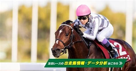 京都記念 共同通信杯2024｜サイン競馬 真実の解読 ワークホース