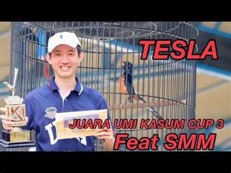 Murai Batu Muda Tesla Jagoan GMK Juara Umi Kasup CUP 3 Feat SMM YouTube