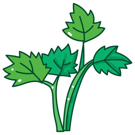 Celery Cartoon Doodle 39095832 Png