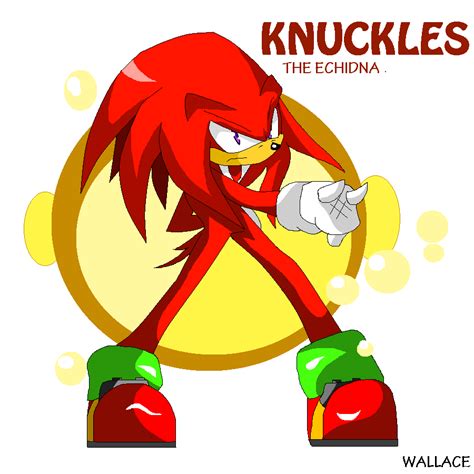 Knuckles The Echidna By Wallacexteam On Deviantart Echidna Character