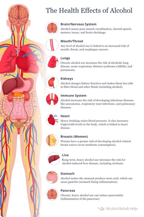 What Does a Standard Drink of Alcohol Really Mean in Everyday Life 27