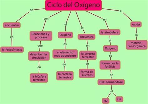 Mapa Conceptual Del Ciclo Del Ox Geno Imagenes Graficos The Best Porn