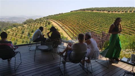 9 Best Private Drivers In Stellenbosch | Travel Buddies