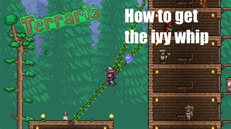 How To Get The Ivy Whip Terraria 9 Youtube