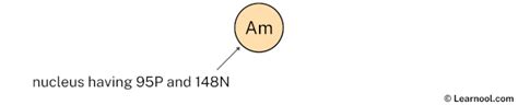 Americium Bohr Model Learnool