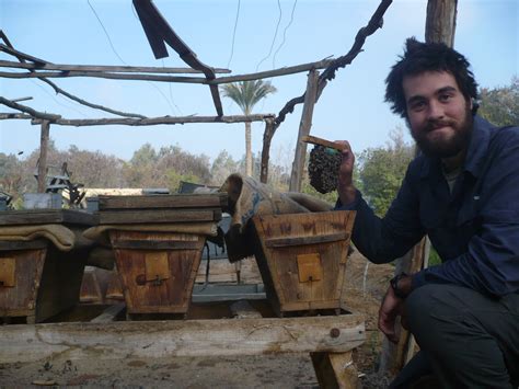 A Detour By Way Of The Beehive Modern Egyptian Beekeeping In Pictures