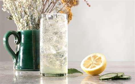 The 6 Best Gin Glasses For Your Favourite Cocktails — Craft Gin Club The Uk S No 1 Gin Club