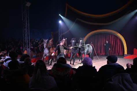 Le Cirque Zavatta Le Spectacle Tr S Attendu De La Fin Dann E Ville