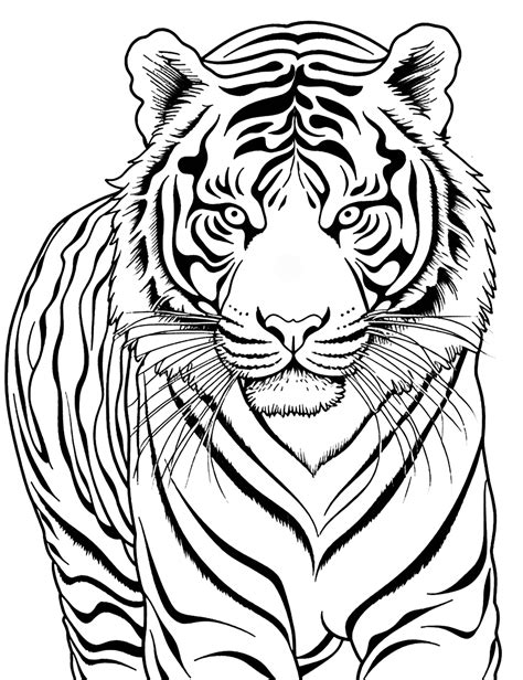 30 Tiger Coloring Pages: Free Printable Sheets