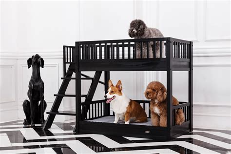 Dog Bunk Bed Give Your Pets Their Own Personal Space By Building A