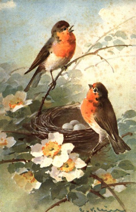 125 Best Images About Victorian Birds With Flowers On Pinterest