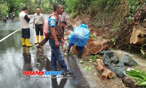 Waspada Jalur Emplak Pangandaran Rawan Longsor Dan Pohon Tumbang