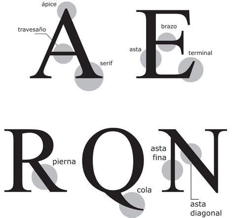 Tipografía Anatomía De Una Letra — Mar T Design