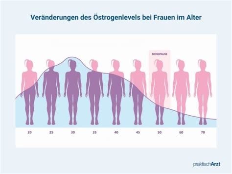 Östrogen Werte und Bedeutung praktischArzt